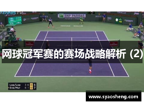 网球冠军赛的赛场战略解析 (2)